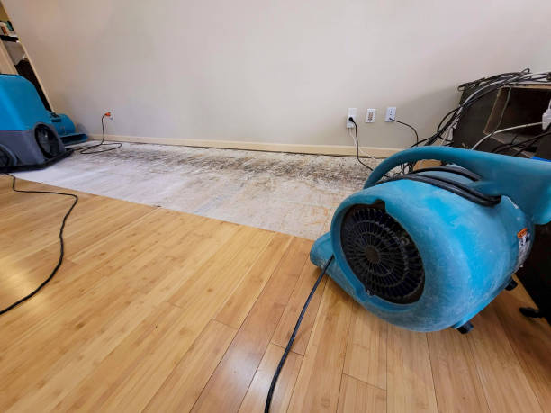 Professional Water Damage Repair technician working in Red Hill, SC